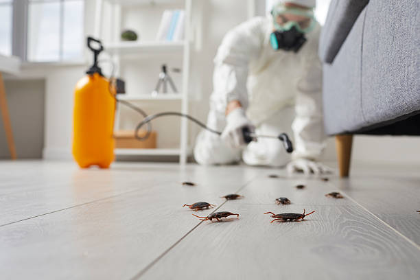 Commercial Kitchen Cockroach Control in Coshocton